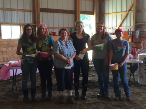 https://www.stepup-nfec.org/ Saratoga Therapeutic Equestrian Program