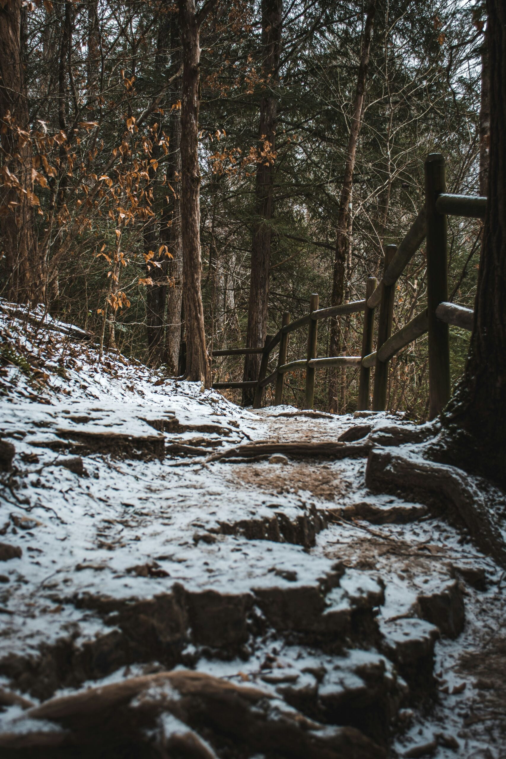 a path in the woods covered in snow